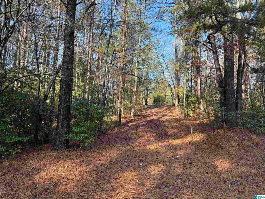 39 LONGLEAF DRIVE, Folsom, AL 36280 - Image #3