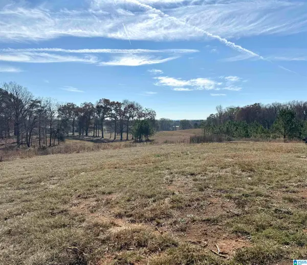 2884 HIGHWAY 47, Columbiana, AL 35051