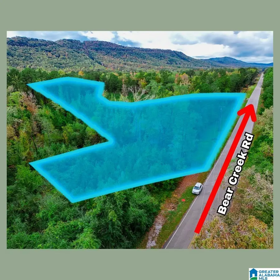 0 BEAR CREEK ROAD, Sterrett, AL 35147 - Image #3