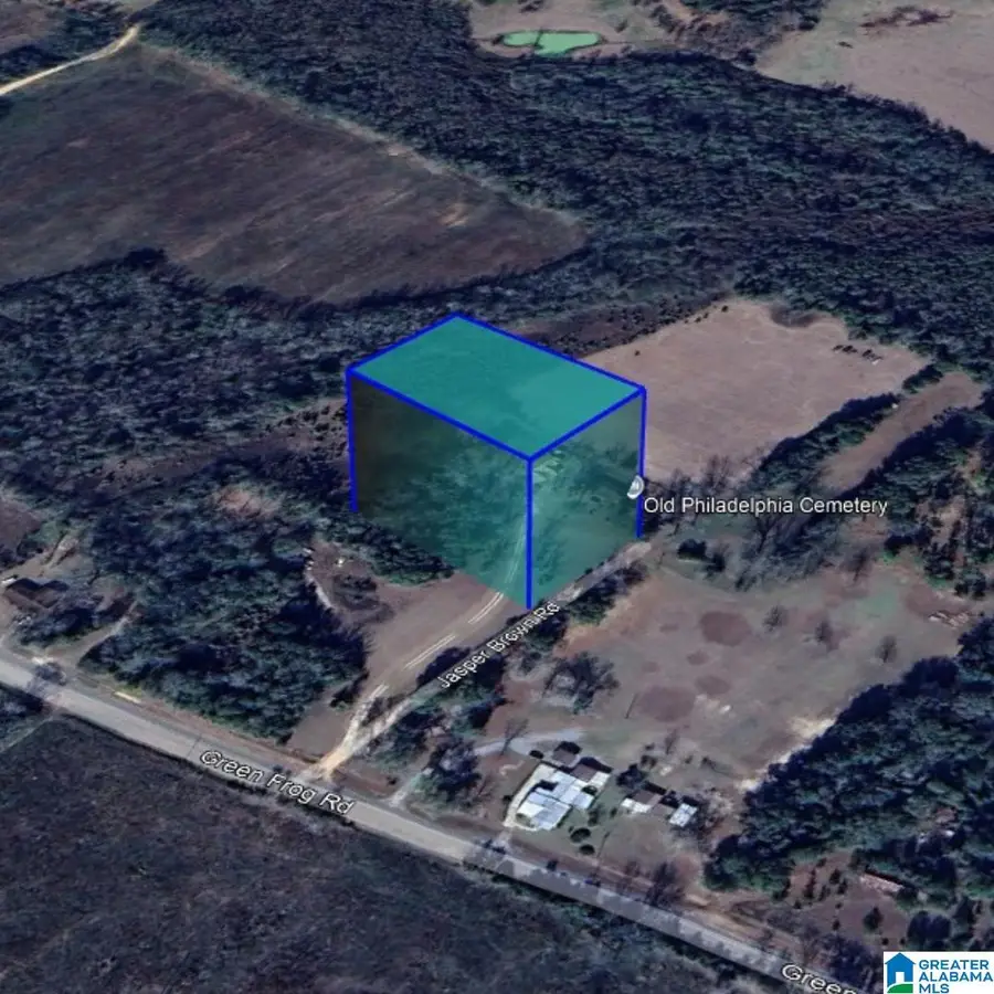 161 MAIN STREET, Gordon, AL 36370 - Image #3