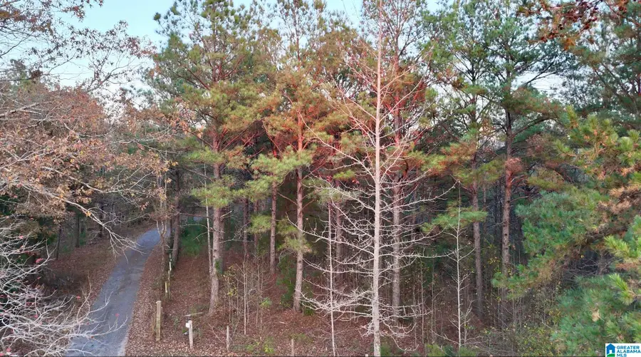 100 PRESBYTERIAN CHURCH ROAD, West Blocton, AL 35184 - Image #2