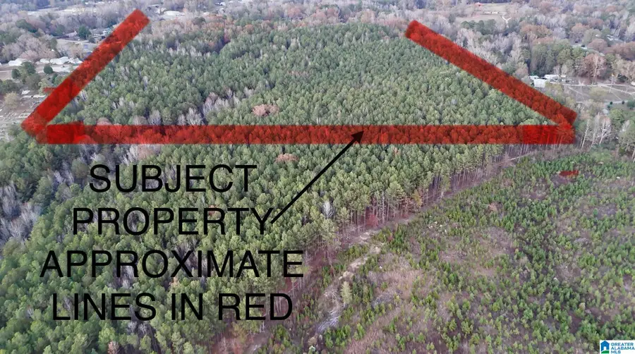 100 PRESBYTERIAN CHURCH ROAD, West Blocton, AL 35184 - Image #3