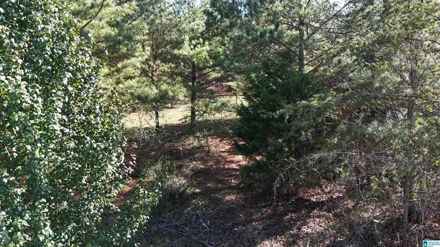 701 COUNTY ROAD 31, Hanceville, AL 35077 - Image #2
