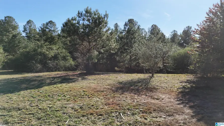 761 COUNTY ROAD 31, Hanceville, AL 35077 - Image #3
