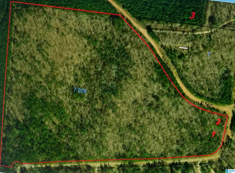 0 ARROWHEAD DRIVE, Delta, AL 36258 - Image #2