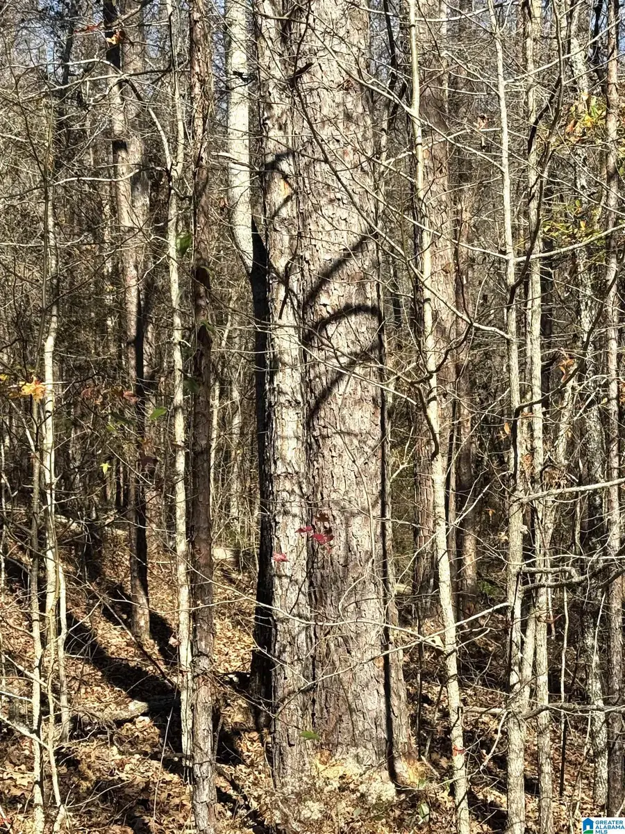 0 ARROWHEAD DRIVE, Delta, AL 36258 - Image #3