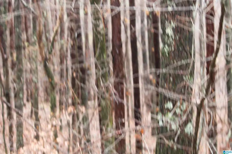 120 acres HIGHWAY 102, Fayette, AL 35549 - Image #2