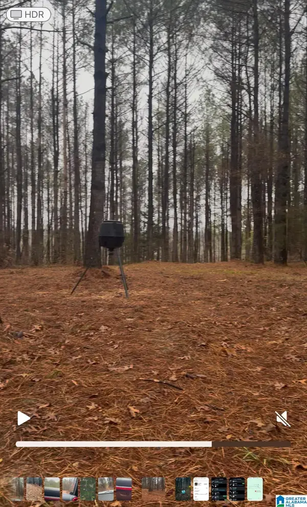 73 acres COUNTY ROAD 93, Bankston, AL 35542