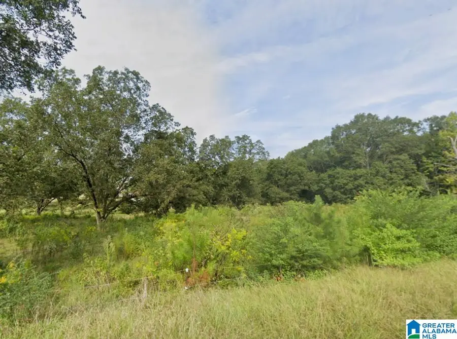 171 S DAKOTA ROAD, Thorsby, AL 35171 - Image #2