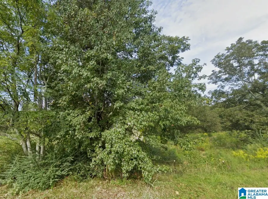 171 S DAKOTA ROAD, Thorsby, AL 35171 - Image #3