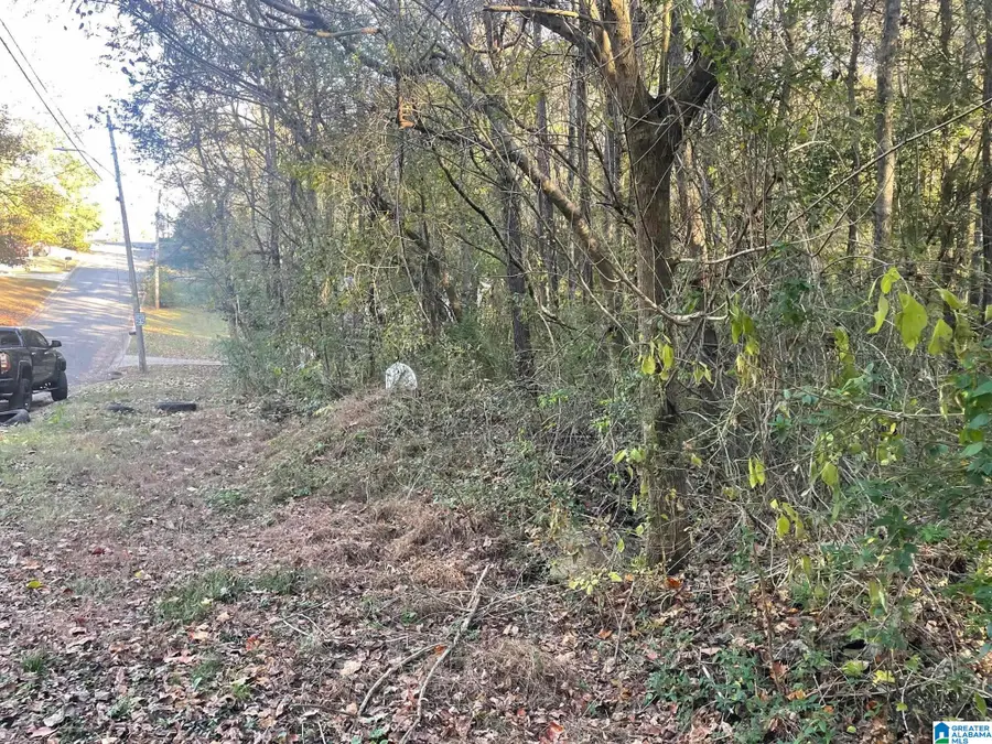 529 FOXFIRE DRIVE, Gardendale, AL 35071 - Image #2