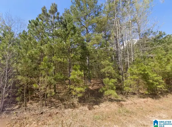 0 COUNTY ROAD 621, Woodland, AL 36280