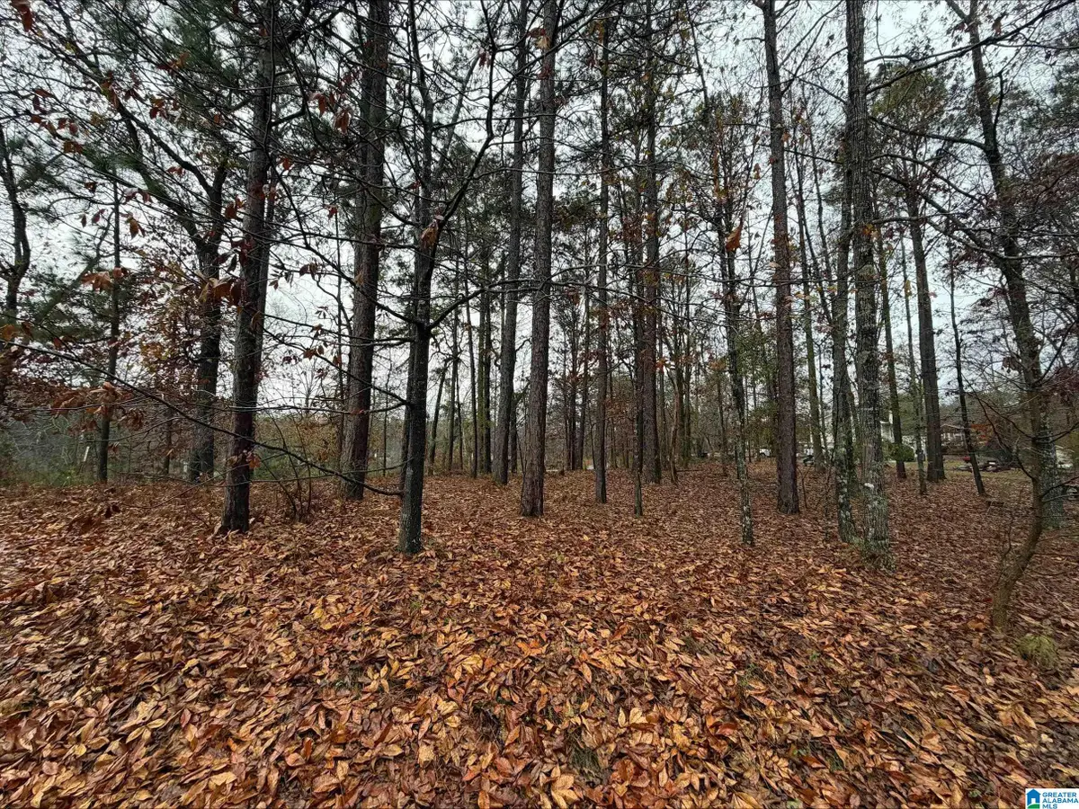 7813 BARBARA DRIVE, McCalla, AL 35111 - Image #1