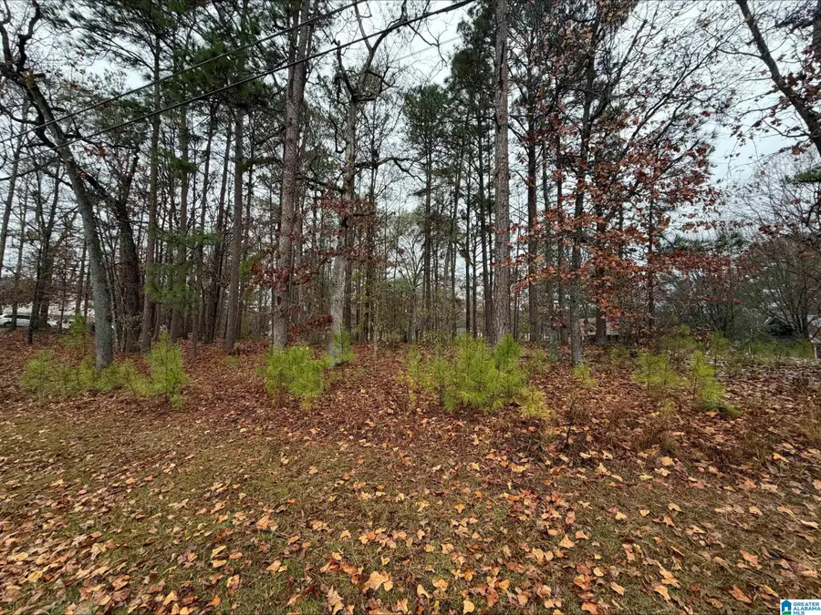 7813 BARBARA DRIVE, McCalla, AL 35111 - Image #2