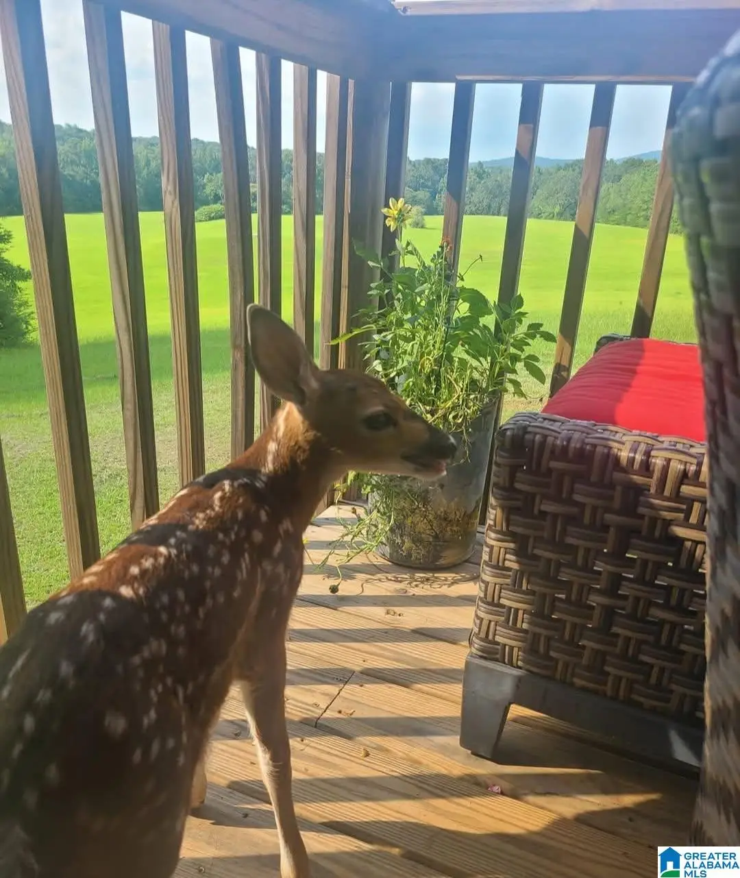 2865 JENIFER ROAD, Munford, AL 36268 - Image #1