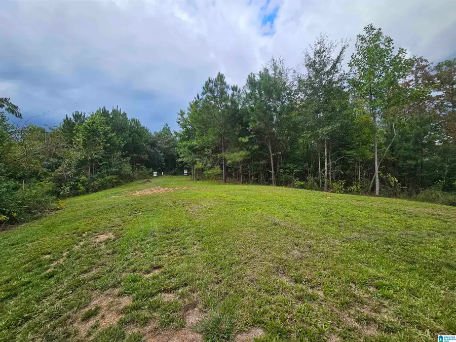 94 COUNTY ROAD 258, Clanton, AL 35046 - Image #2