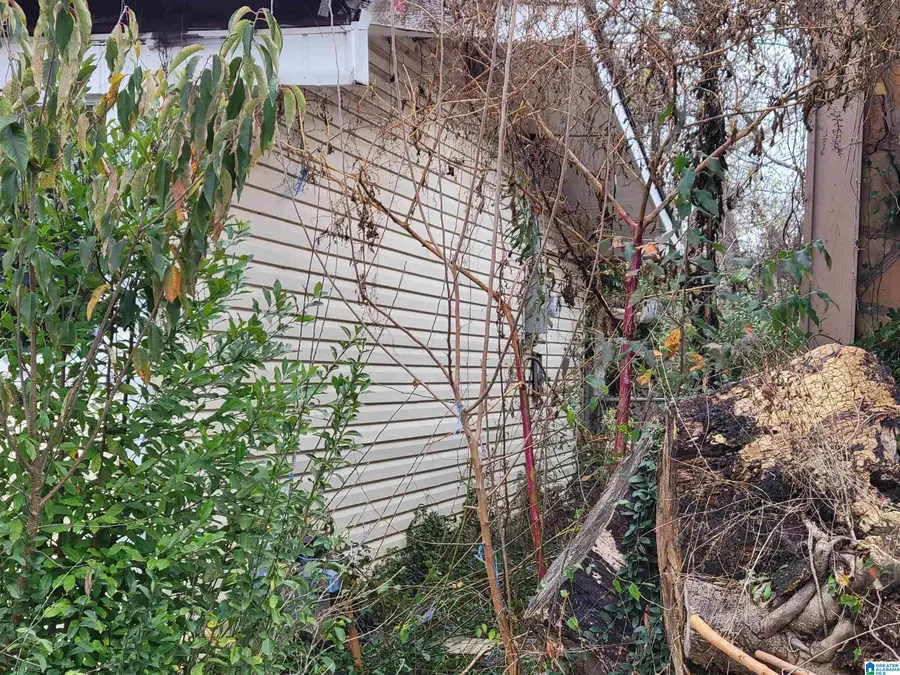 1319 COURT R, Birmingham, AL 35218 - Image #3