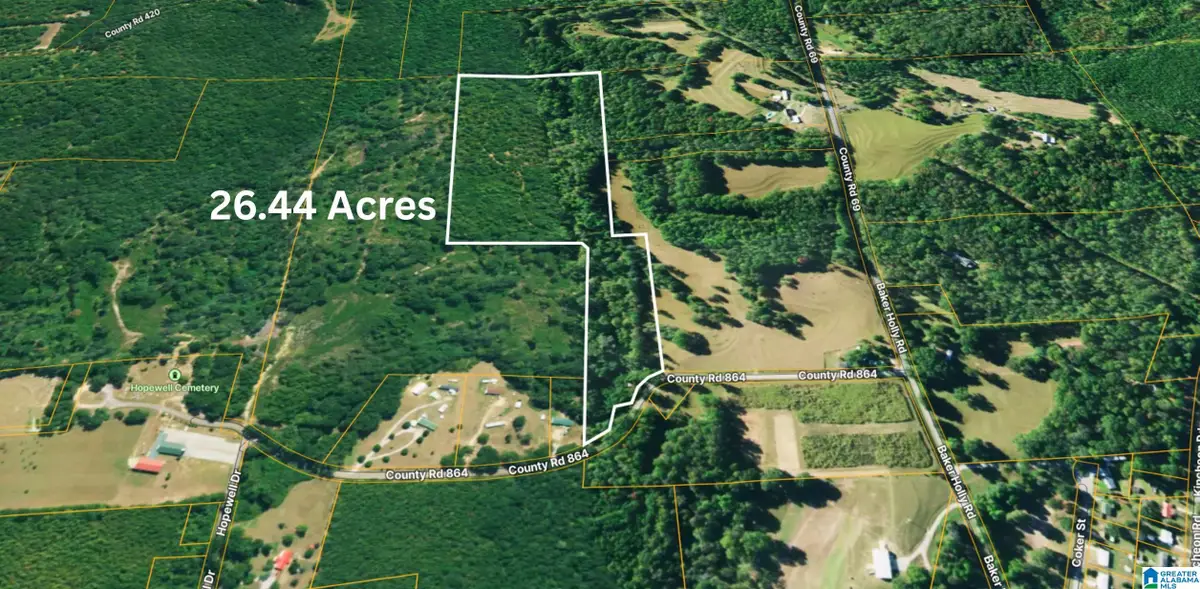 TBD1 286 COUNTY ROAD 864, Clanton, AL 35045 - Image #1