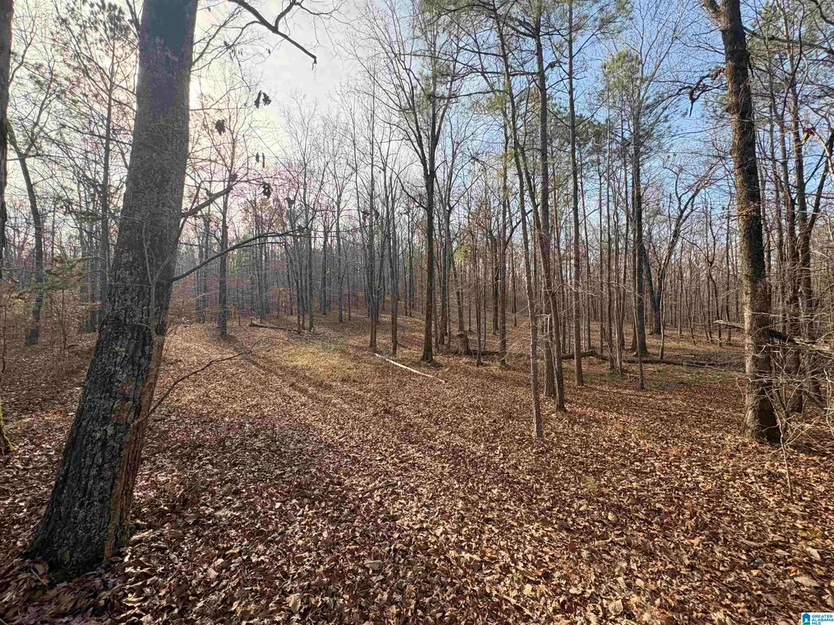 4540 CABIN ROAD, Greenwood, AL 35022 - Image #1