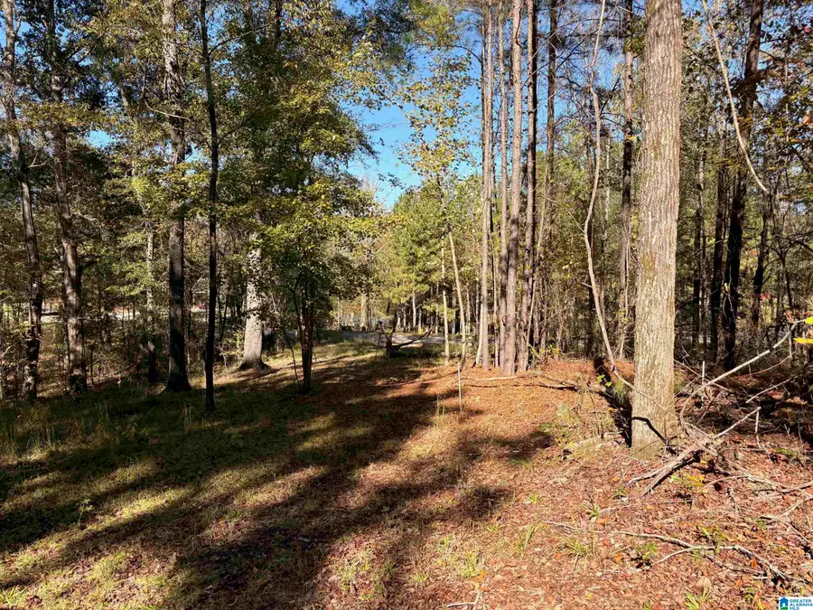 4540 CABIN ROAD, Greenwood, AL 35022 - Image #2