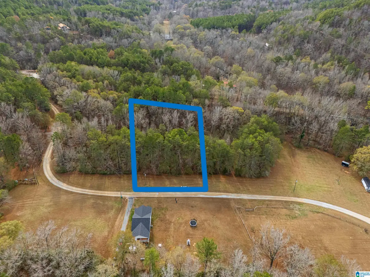 Lot 12 COUNTY ROAD 219, Piedmont, AL 36272 - Image #1
