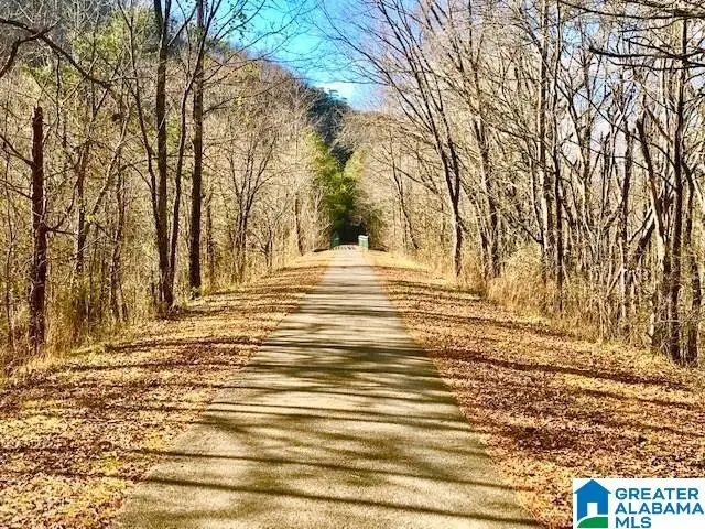 Lot 12 COUNTY ROAD 219, Piedmont, AL 36272 - Image #2