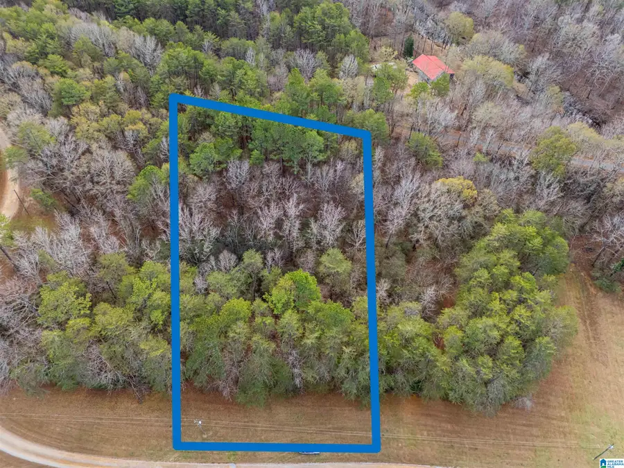 Lot 12 COUNTY ROAD 219, Piedmont, AL 36272 - Image #3