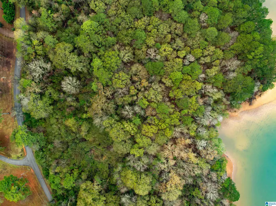 0 ANNESLEY DRIVE, Pell City, AL 35128 - Image #2