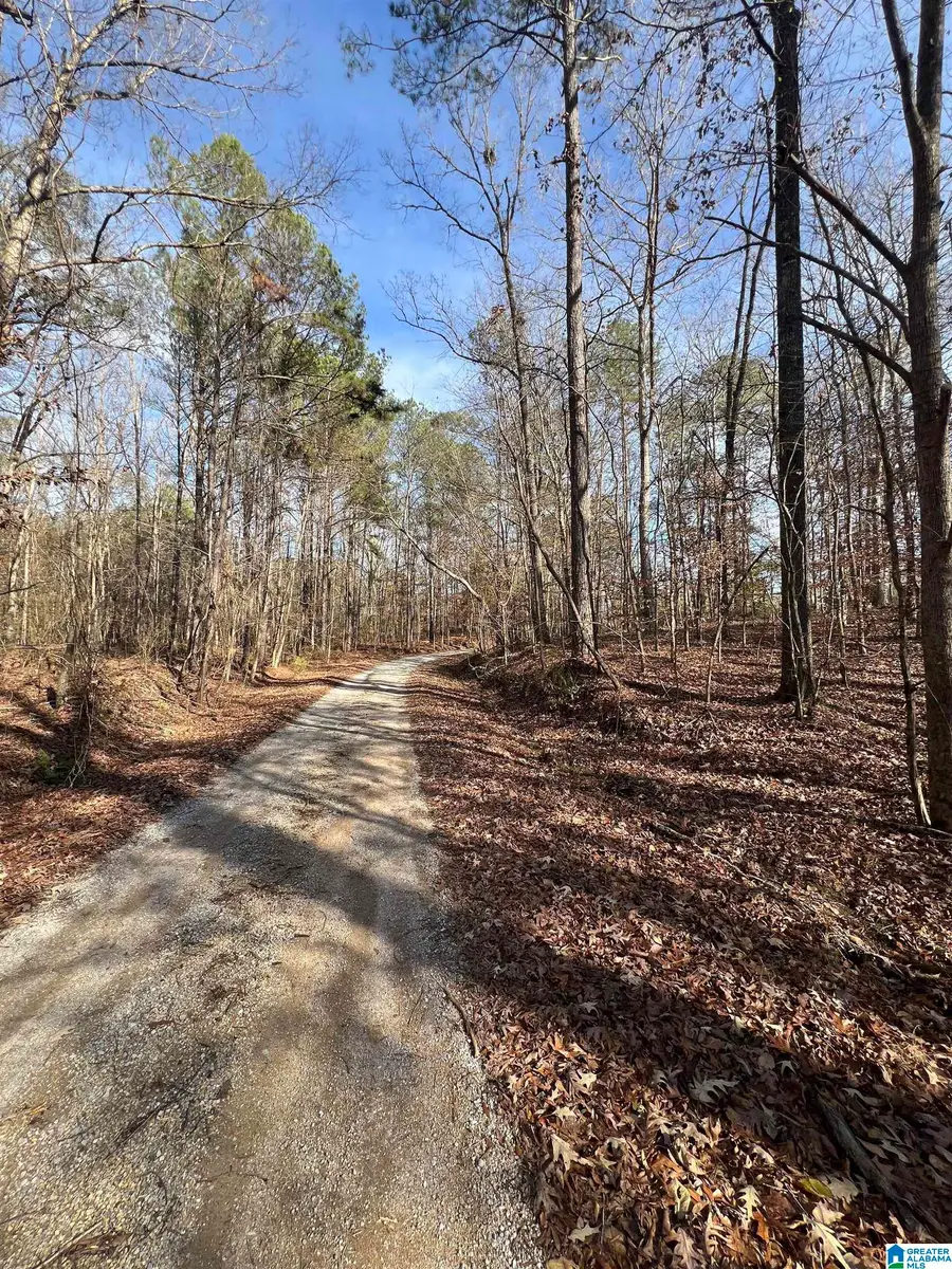 197 HERITAGE LANE, Chelsea, AL 35051 - Image #2