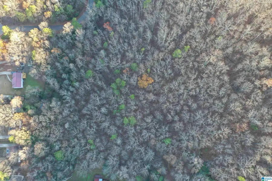 5688 BALBOA TERRACE, Pinson, AL 35126 - Image #3