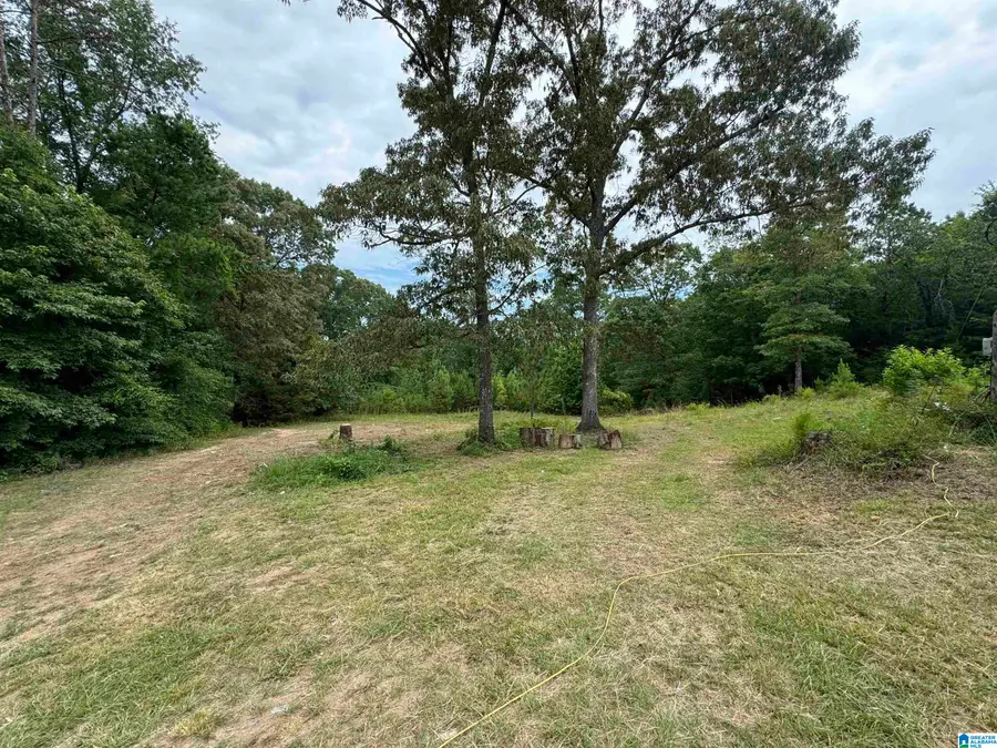 3917 COUNTY ROAD 1113, Troy, AL 36079 - Image #2