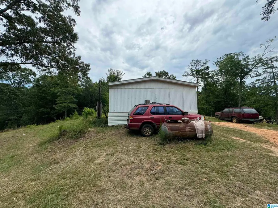 3917 COUNTY ROAD 1113, Troy, AL 36079 - Image #3