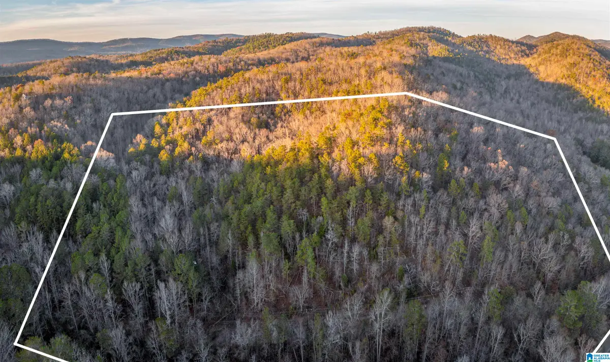 1004 RABBITTOWN ROAD, Piedmont, AL 36272 - Image #1