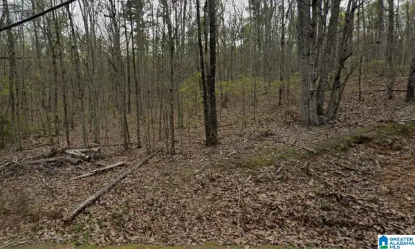 6099 LAKESIDE DRIVE, Pinson, AL 35126