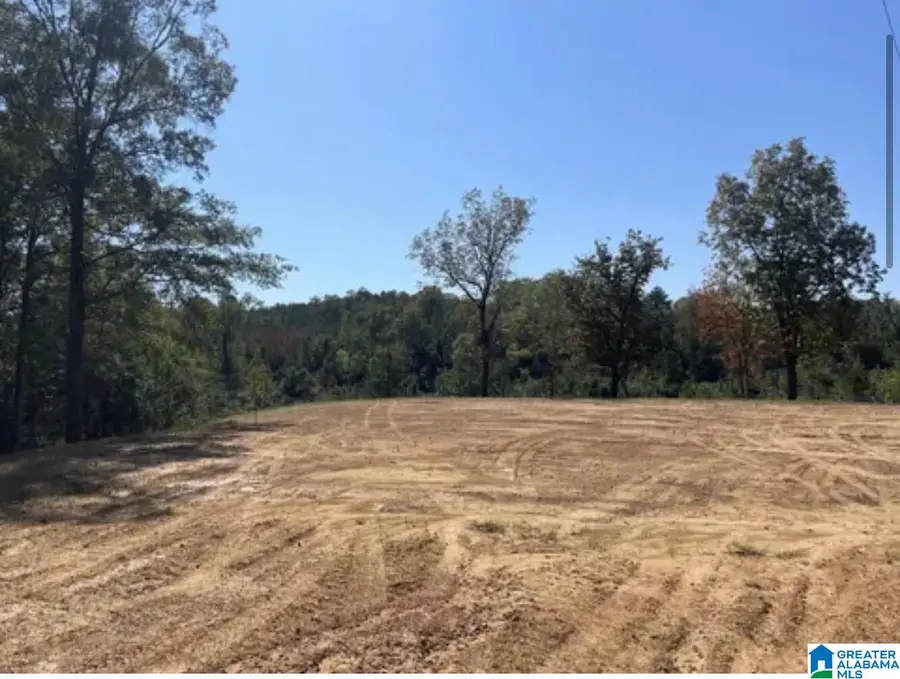 HILL CREEK DRIVE, West Blocton, AL 35184 - Image #2