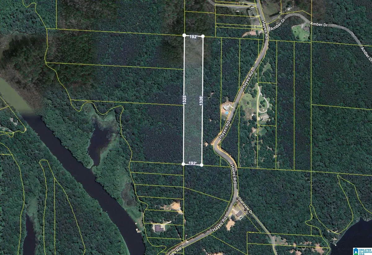 00 HAYES ROAD, Northport, AL 35475 - Image #1