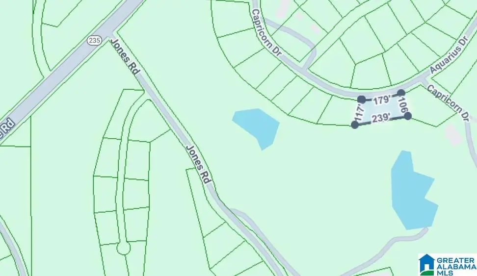 0 CONSTELLATION AVENUE, Alpine, AL 35014 - Image #1