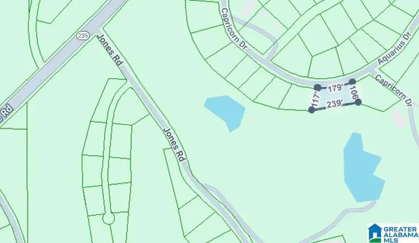 0 CONSTELLATION AVENUE, Alpine, AL 35014