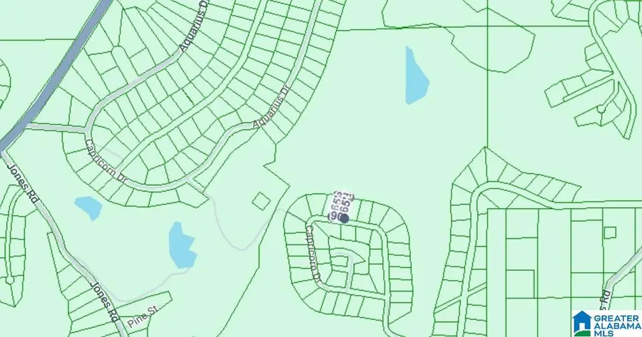 0 CONSTELLATION AVENUE, Alpine, AL 35014 - Image #2