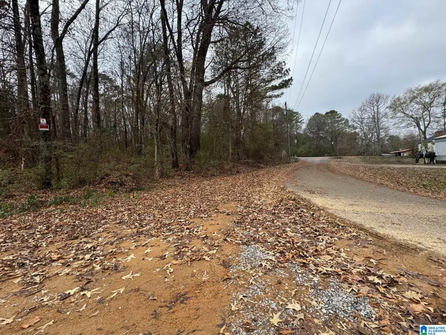 0 WINSLOW AVENUE, Anniston, AL 36206 - Image #3