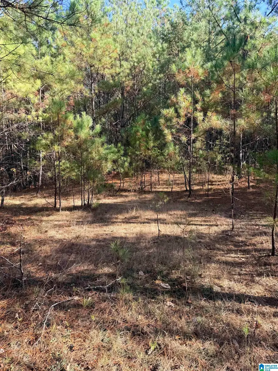 9400 BRADFORD TRAFFORD ROAD, Warrior, AL 35180 - Image #3