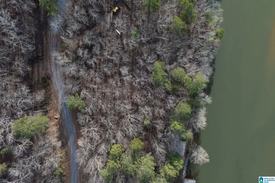 MAVERICK DRIVE, Ashville, AL 35953 - Image #2