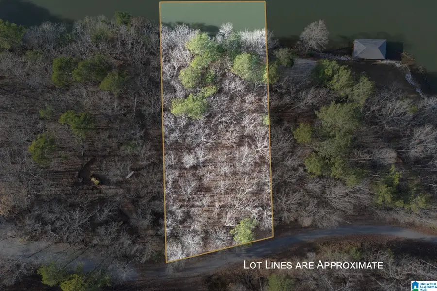 MAVERICK DRIVE, Ashville, AL 35953 - Image #3