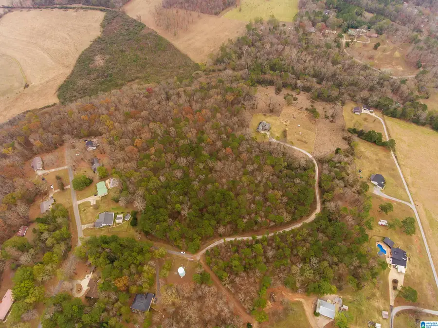 0 PAGE CIRCLE, Alexandria, AL 36250 - Image #2