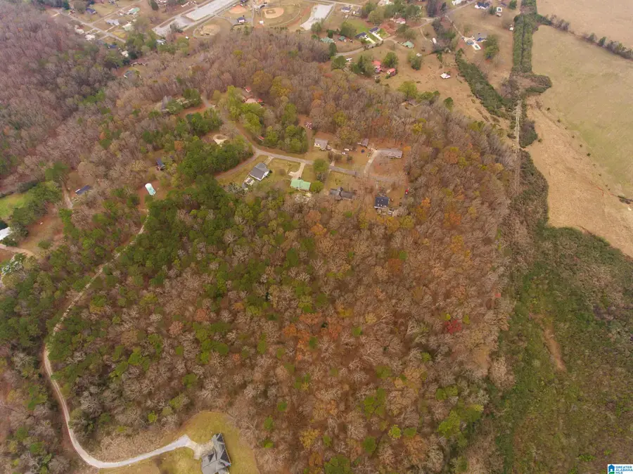 0 PAGE CIRCLE, Alexandria, AL 36250 - Image #3