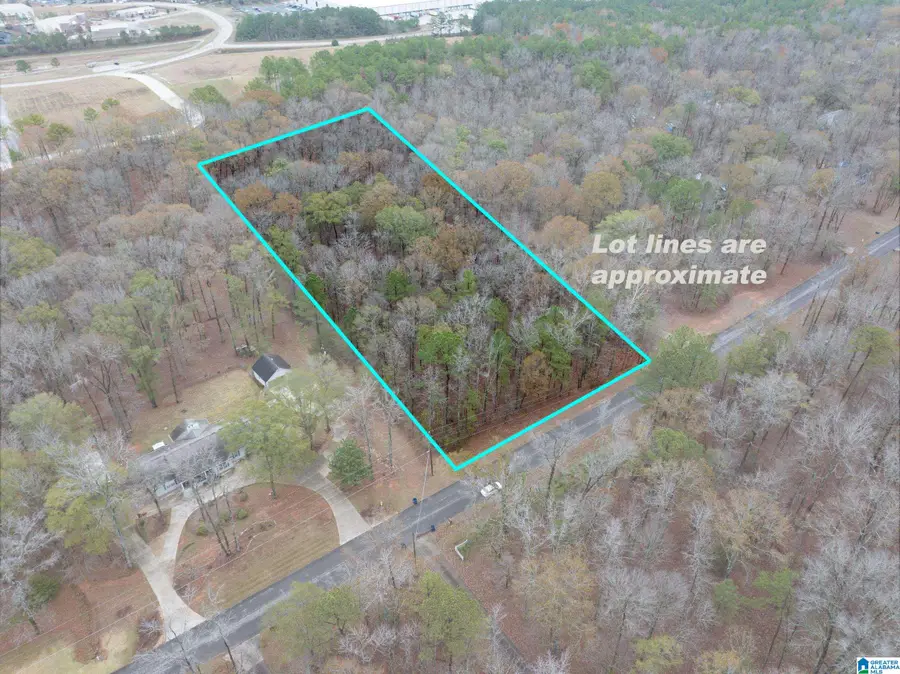 145 CHESTNUT DRIVE, Alabaster, AL 35007 - Image #3