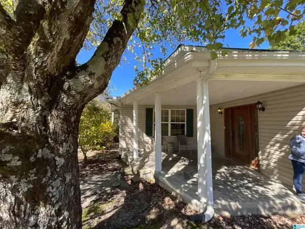 10045 COUNTY ROAD 121, Valley head, AL 35989