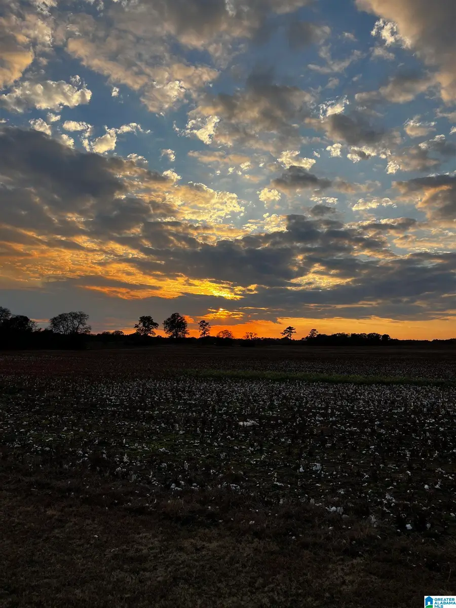 1593 TANYARD ROAD, Harpersville, AL 35078 - Image #3