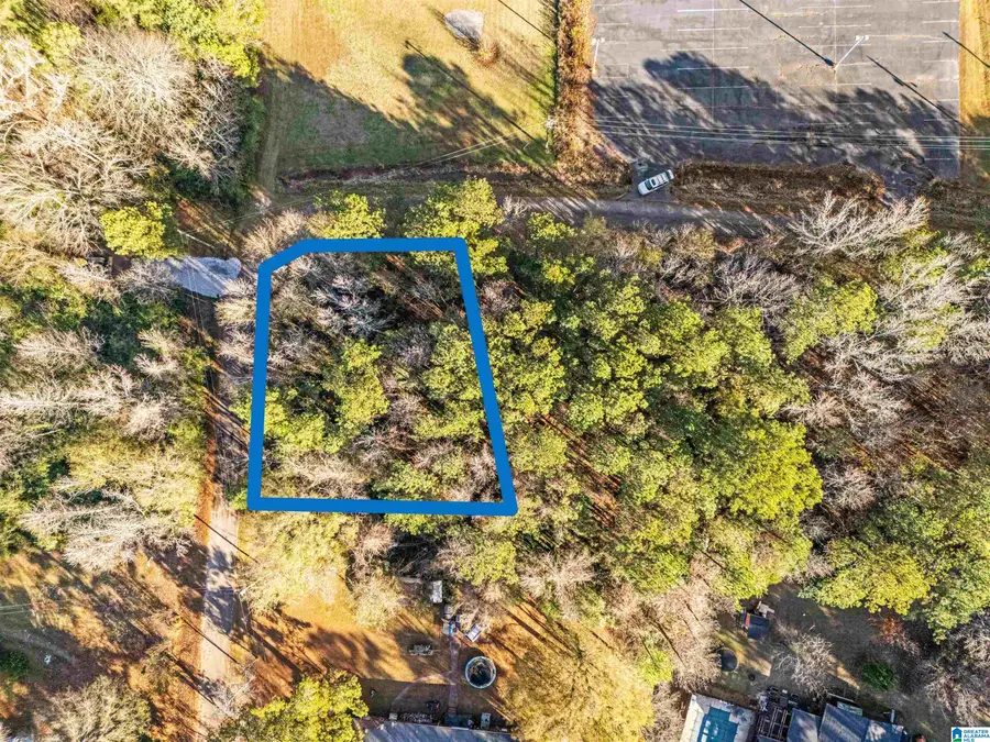 0 NORTHSIDE DRIVE, Piedmont, AL 36272 - Image #3