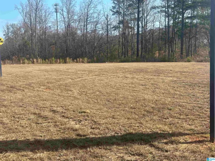 Address Withheld By Seller, Trussville, AL 35173 - Image #3